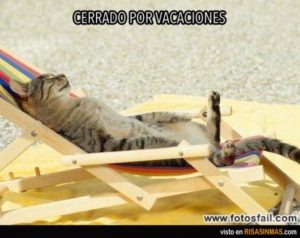 cerrado-por-vacaciones-gato-600x475